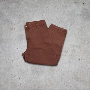Everlane Brown Organic Cotton Barrel Leg Pants